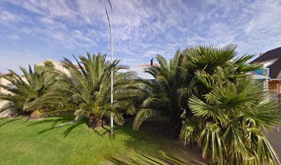 293898946644